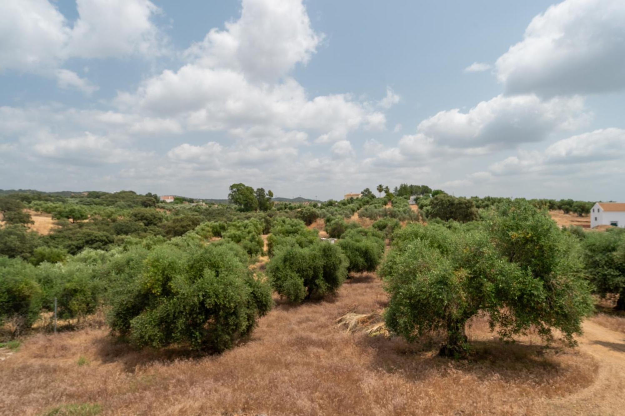 Casa Rural Villa Mara ラ・プエブラ・デ・ロス・インファンテス エクステリア 写真